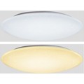 LED DIMM CEILING LAMPS 60W